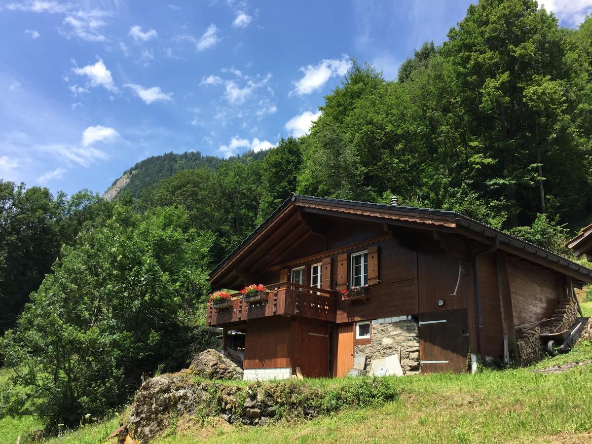 Chalet Julian Lütschenthal Exterior foto